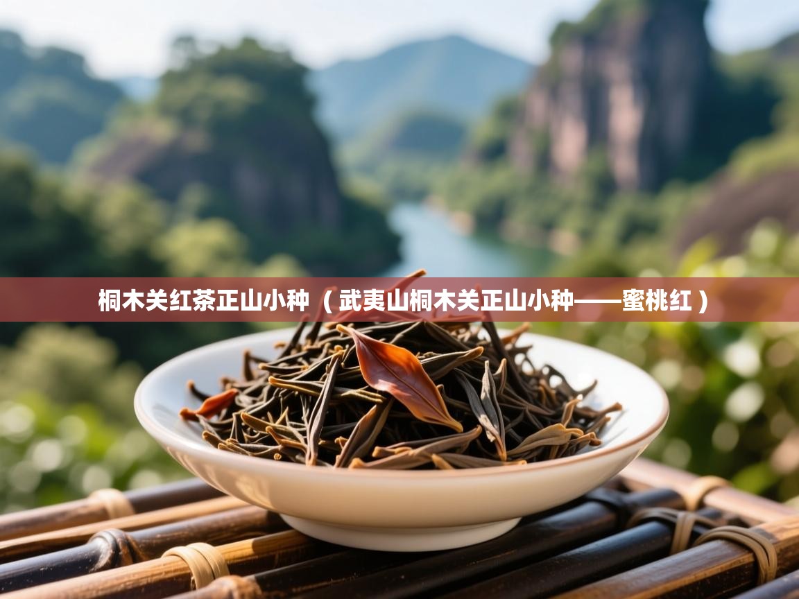  桐木关红茶正山小种  ( 武夷山桐木关正山小种——蜜桃红 )