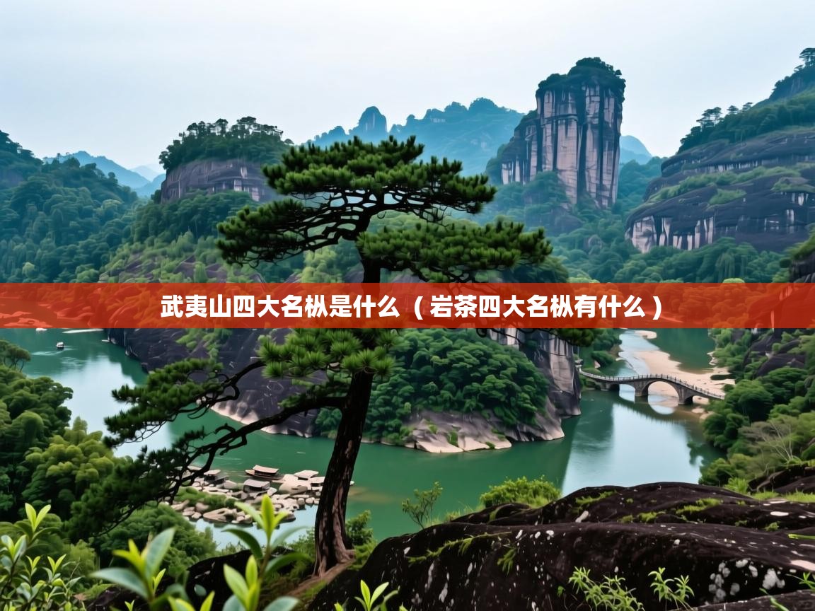  武夷山四大名枞是什么  ( 岩茶四大名枞有什么 )