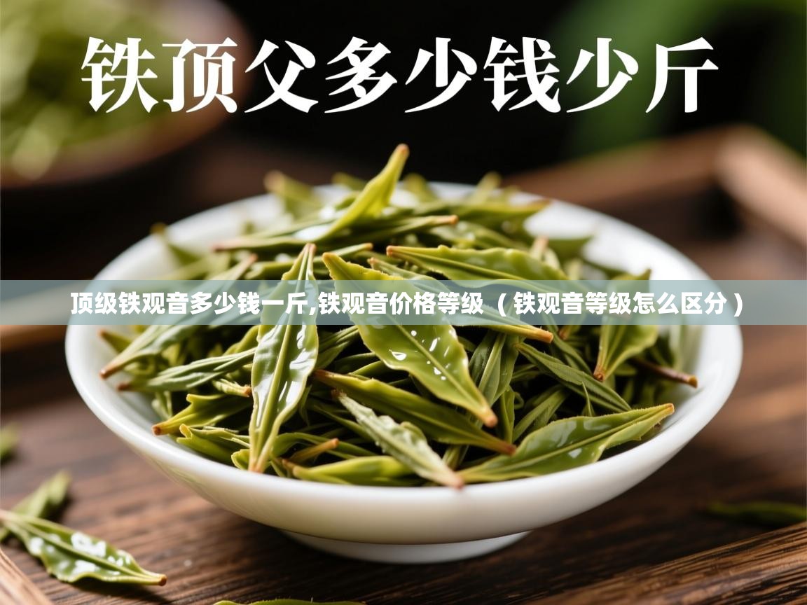  顶级铁观音多少钱一斤,铁观音价格等级  ( 铁观音等级怎么区分 )