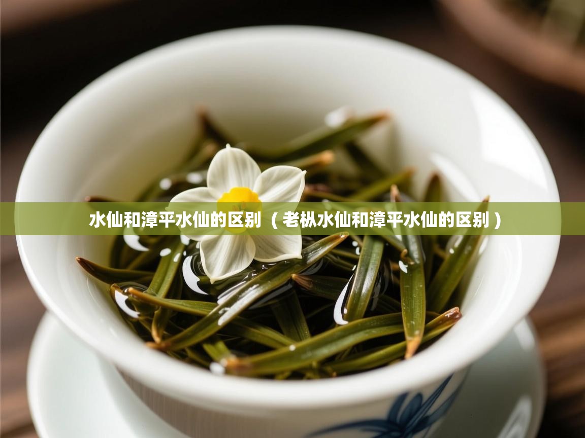  水仙和漳平水仙的区别  ( 老枞水仙和漳平水仙的区别 )