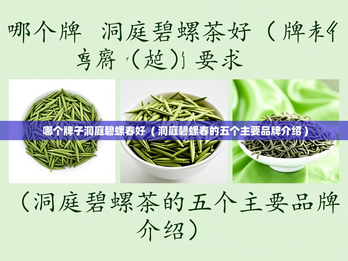  哪个牌子洞庭碧螺春好  ( 洞庭碧螺春的五个主要品牌介绍 )