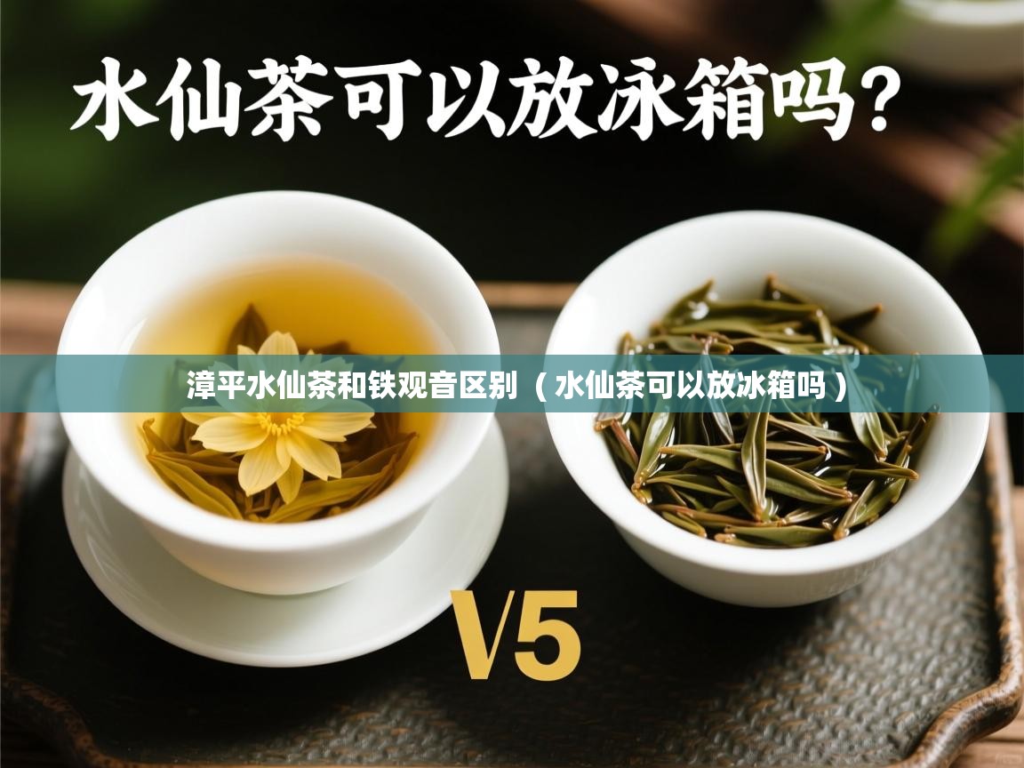 漳平水仙茶和铁观音区别  ( 水仙茶可以放冰箱吗 )