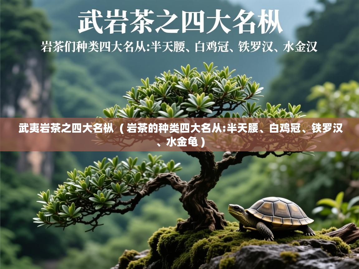  武夷岩茶之四大名枞  ( 岩茶的种类四大名从:半天腰、白鸡冠、铁罗汉、水金龟 )