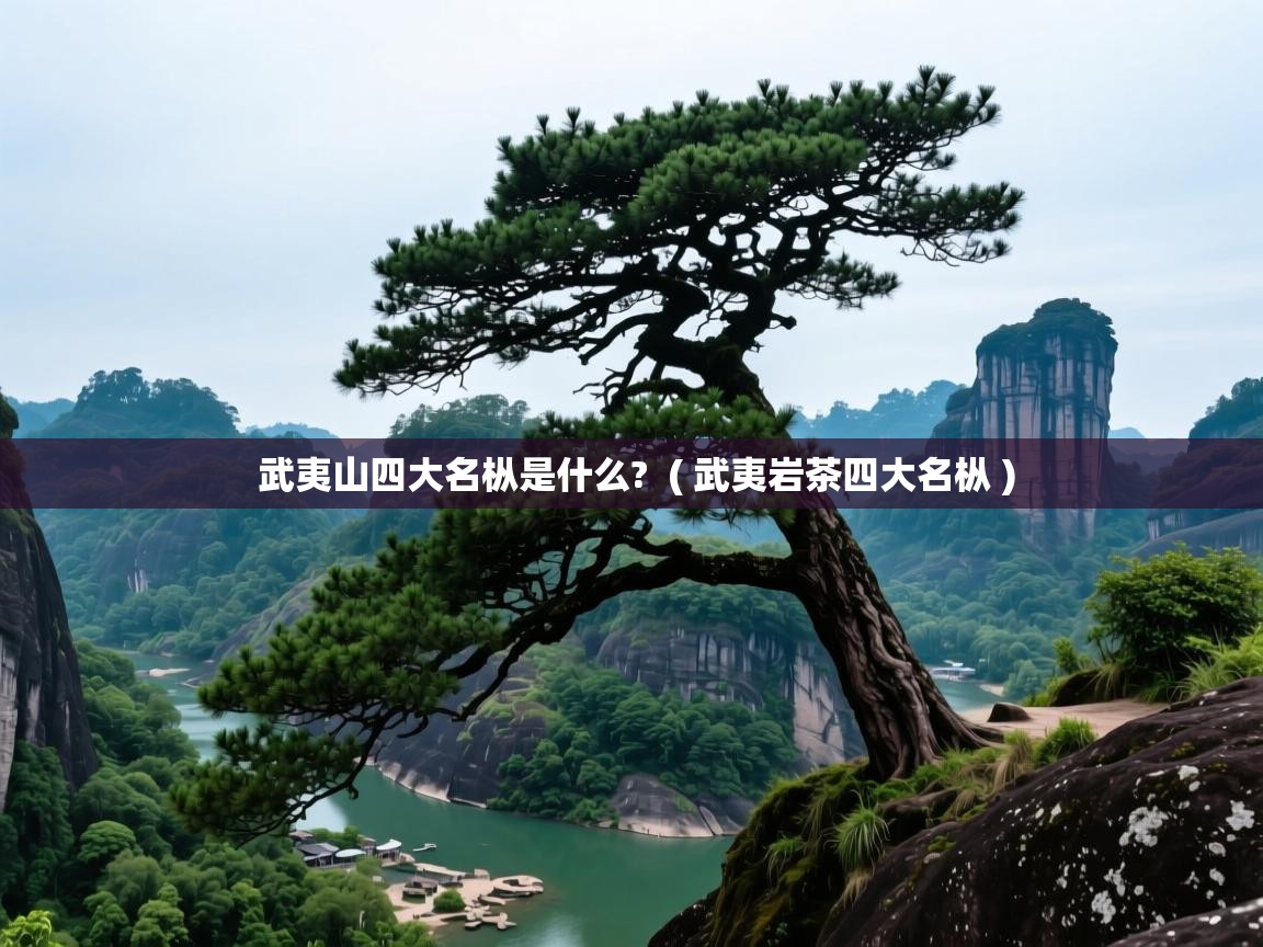  武夷山四大名枞是什么?  ( 武夷岩茶四大名枞 )