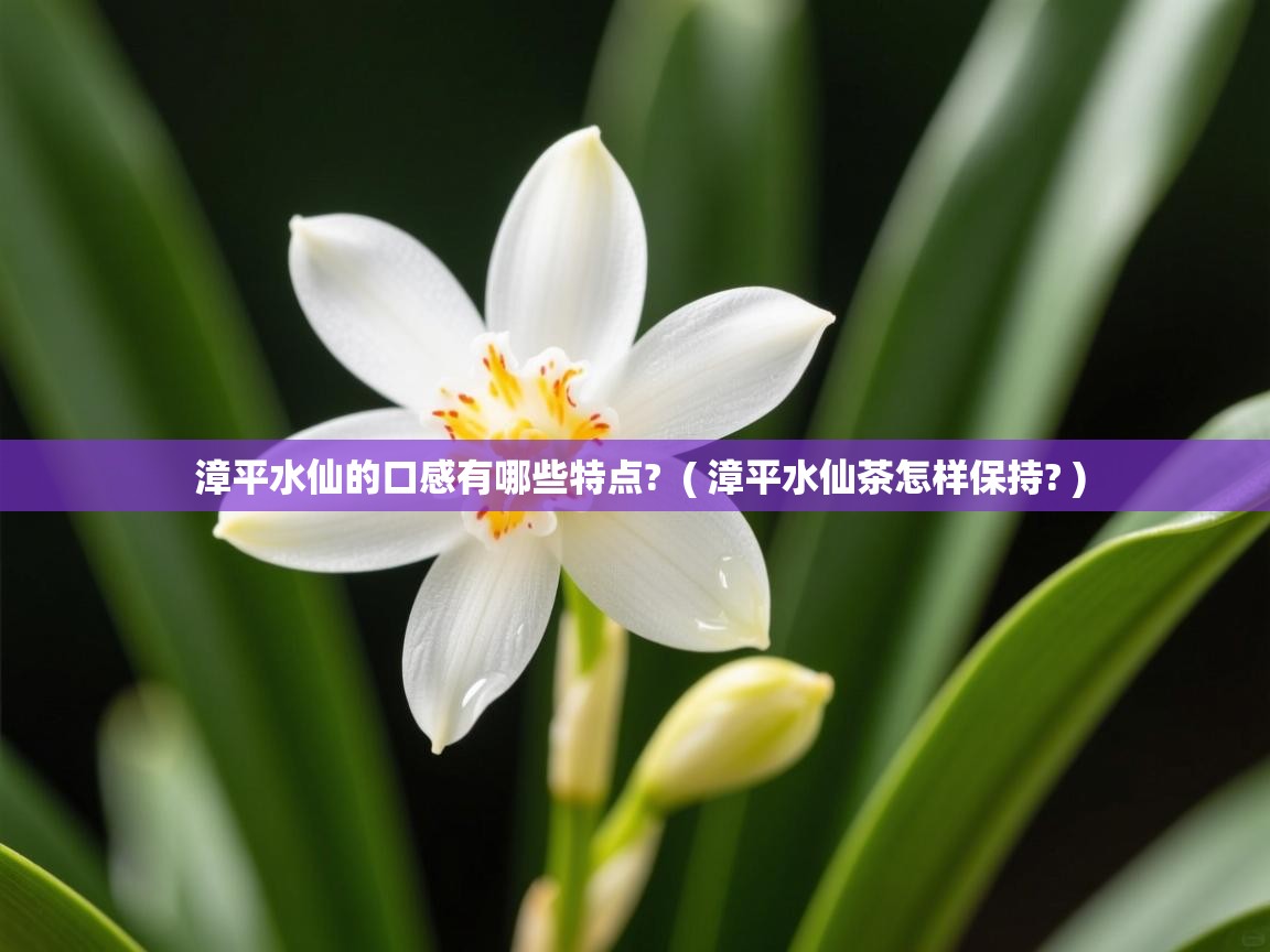  漳平水仙的口感有哪些特点?  ( 漳平水仙茶怎样保持? )