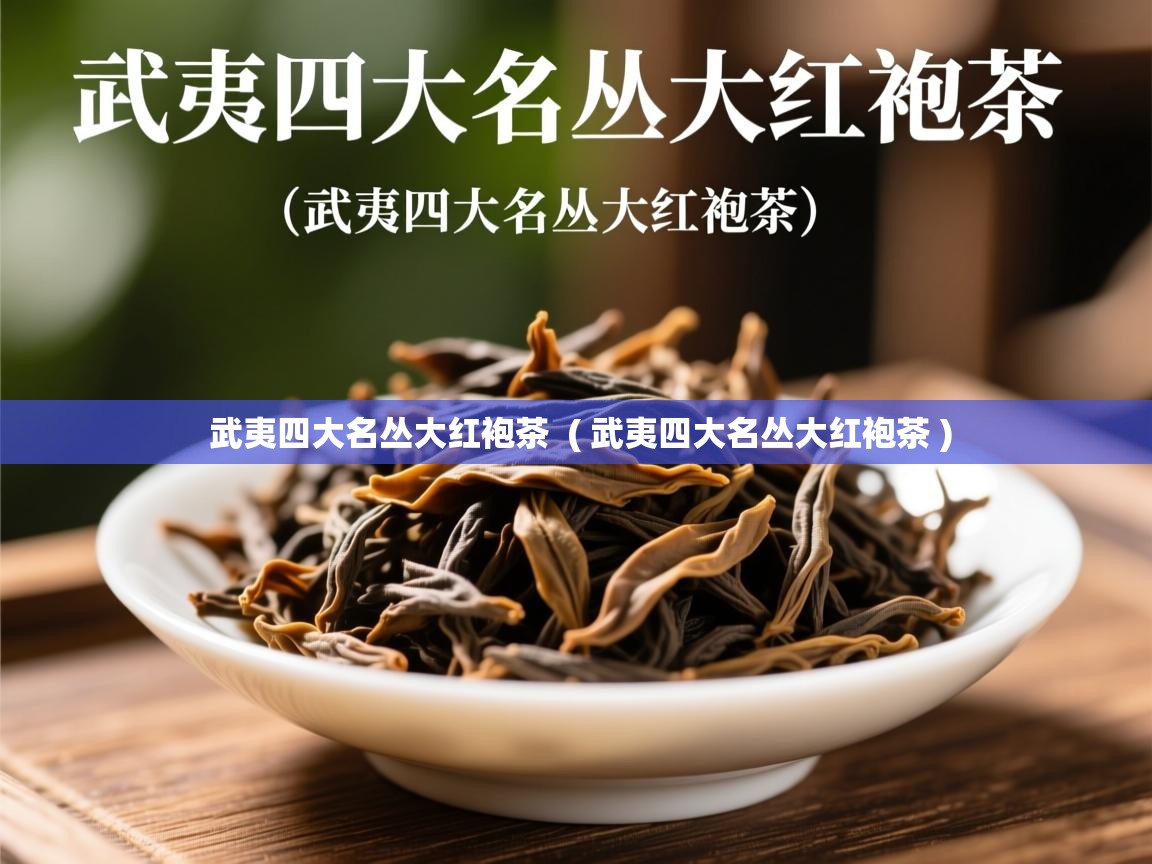  武夷四大名丛大红袍茶  ( 武夷四大名丛大红袍茶 )