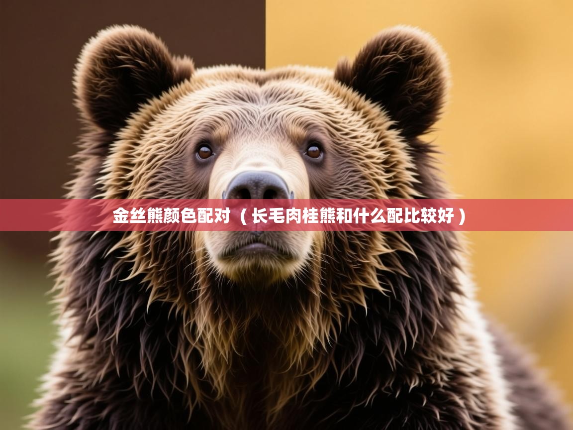  金丝熊颜色配对  ( 长毛肉桂熊和什么配比较好 )