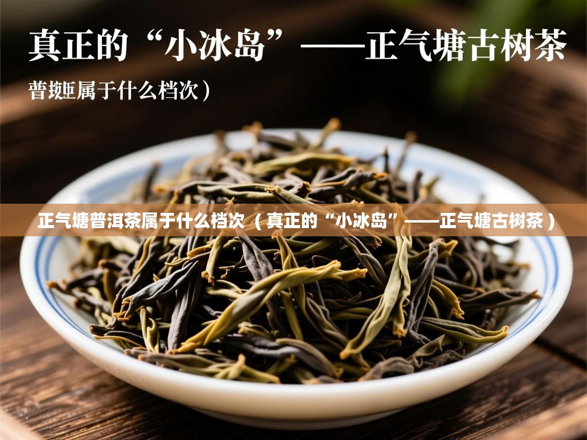  正气塘普洱茶属于什么档次  ( 真正的“小冰岛”——正气塘古树茶 )