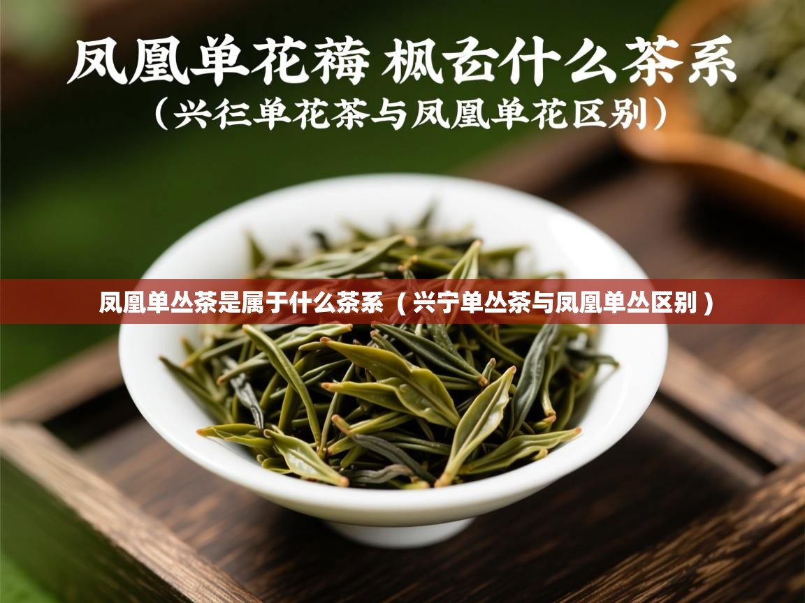  凤凰单丛茶是属于什么茶系  ( 兴宁单丛茶与凤凰单丛区别 )