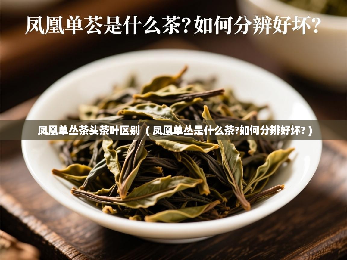 凤凰单丛茶头茶叶区别  ( 凤凰单丛是什么茶?如何分辨好坏? )