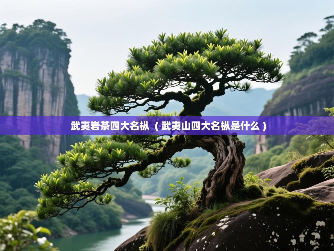 武夷岩茶四大名枞  ( 武夷山四大名枞是什么 )