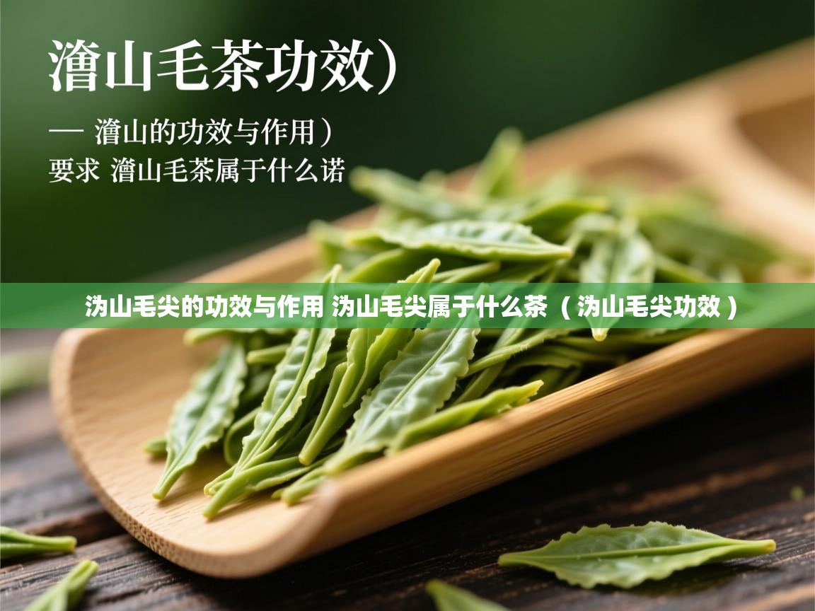  沩山毛尖的功效与作用 沩山毛尖属于什么茶  ( 沩山毛尖功效 )