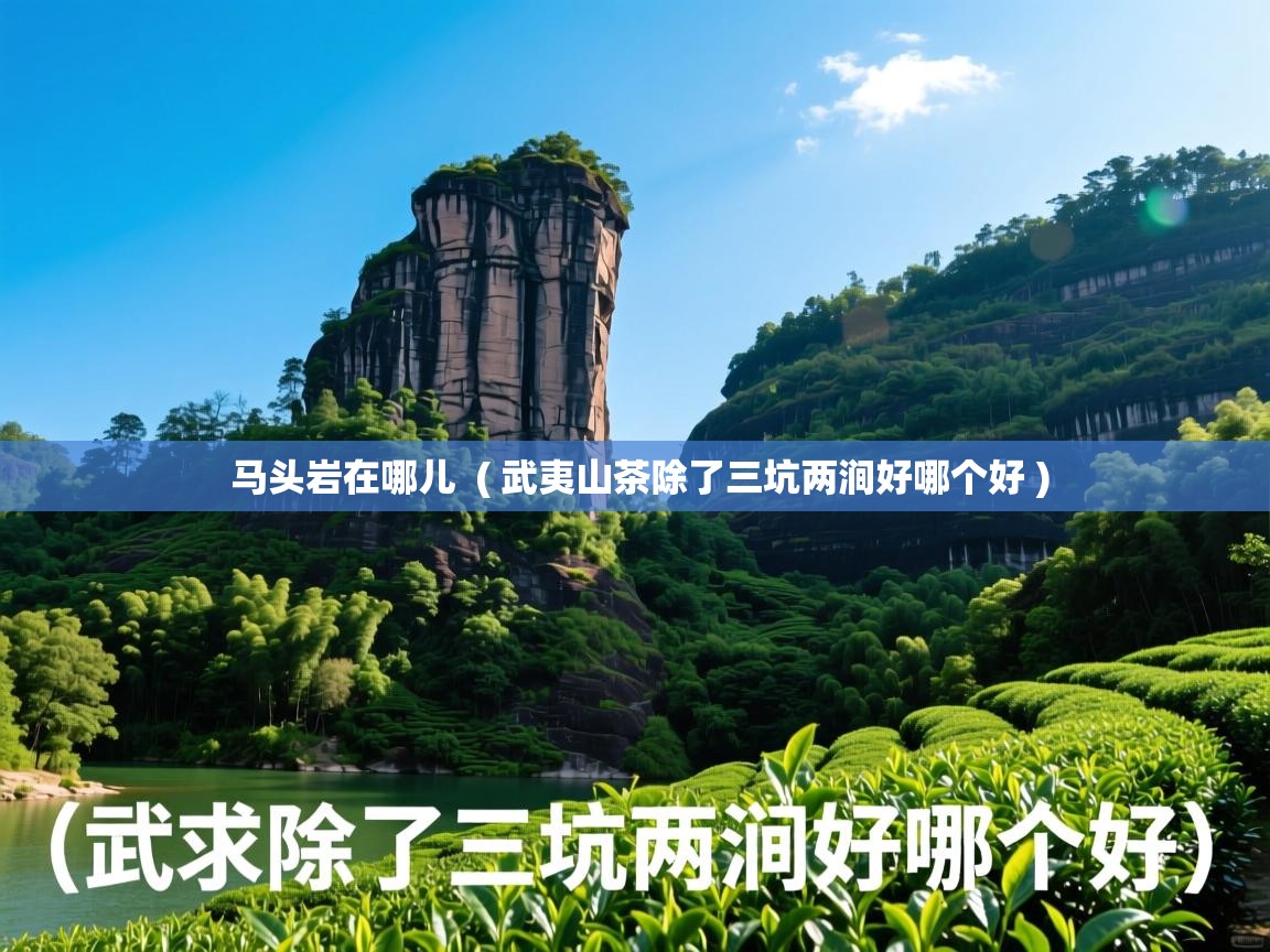  马头岩在哪儿  ( 武夷山茶除了三坑两涧好哪个好 )