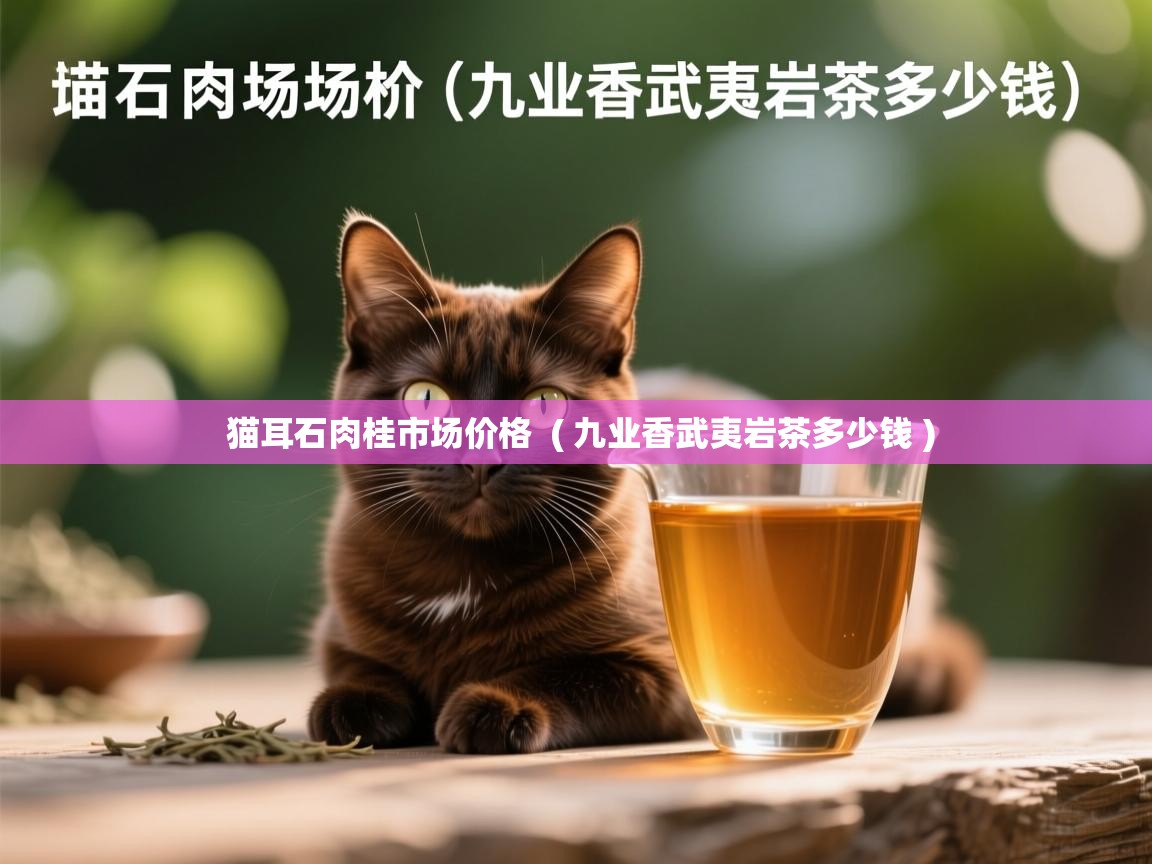  猫耳石肉桂市场价格  ( 九业香武夷岩茶多少钱 )