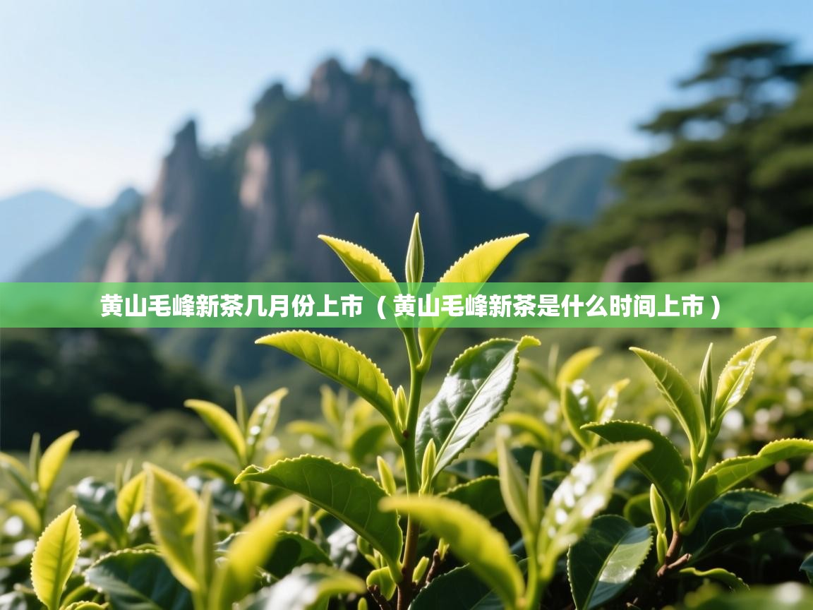  黄山毛峰新茶几月份上市  ( 黄山毛峰新茶是什么时间上市 )