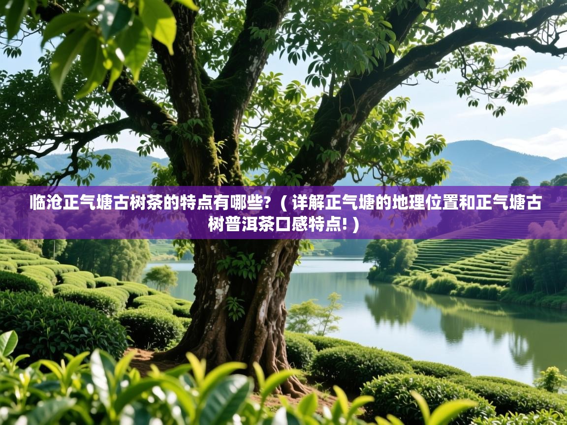 临沧正气塘古树茶的特点有哪些? ( 详解正气塘的地理位置和正气塘古树普洱茶口感特点! ) 临沧正气塘古树茶的特点有哪些? ( 详解正气塘的地理位置和正气塘古树普洱茶口感特点! )
