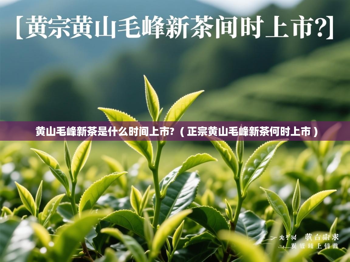  黄山毛峰新茶是什么时间上市?  ( 正宗黄山毛峰新茶何时上市 )