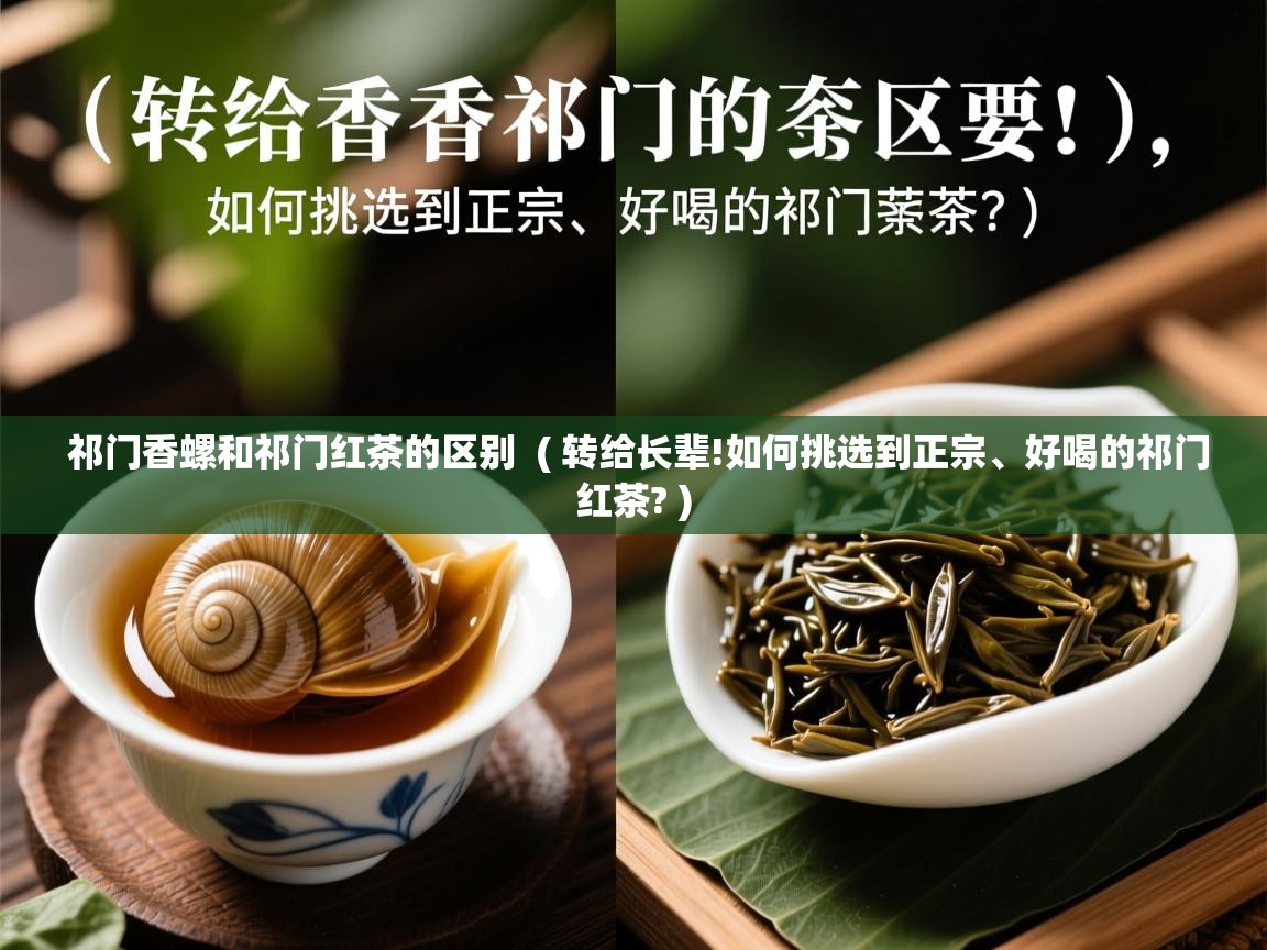  祁门香螺和祁门红茶的区别  ( 转给长辈!如何挑选到正宗、好喝的祁门红茶? )