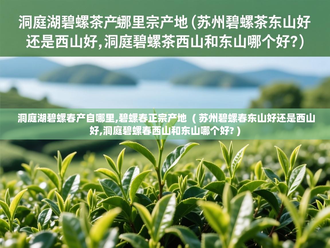  洞庭湖碧螺春产自哪里,碧螺春正宗产地  ( 苏州碧螺春东山好还是西山好,洞庭碧螺春西山和东山哪个好? )