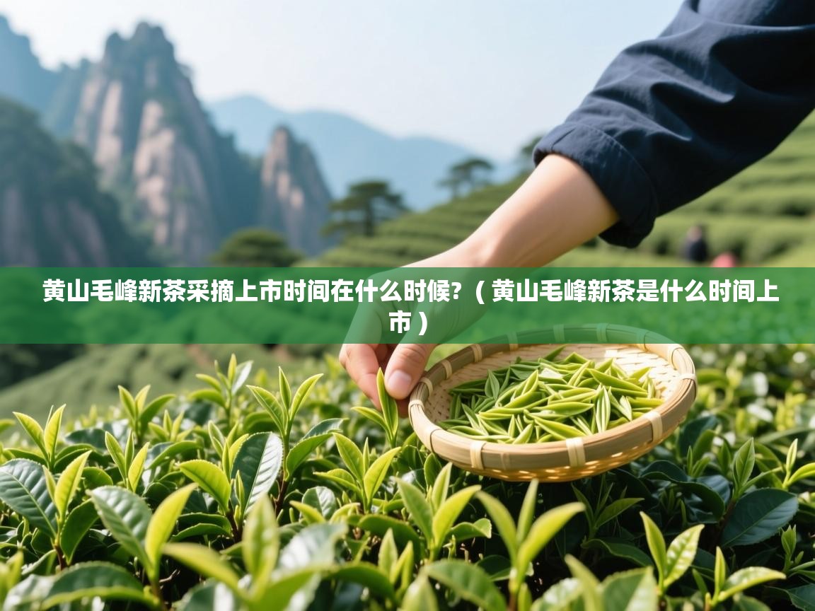  黄山毛峰新茶采摘上市时间在什么时候?  ( 黄山毛峰新茶是什么时间上市 )