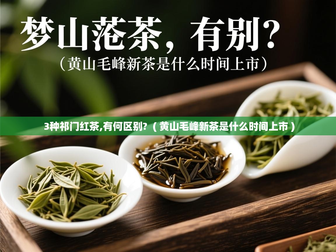  3种祁门红茶,有何区别?  ( 黄山毛峰新茶是什么时间上市 )