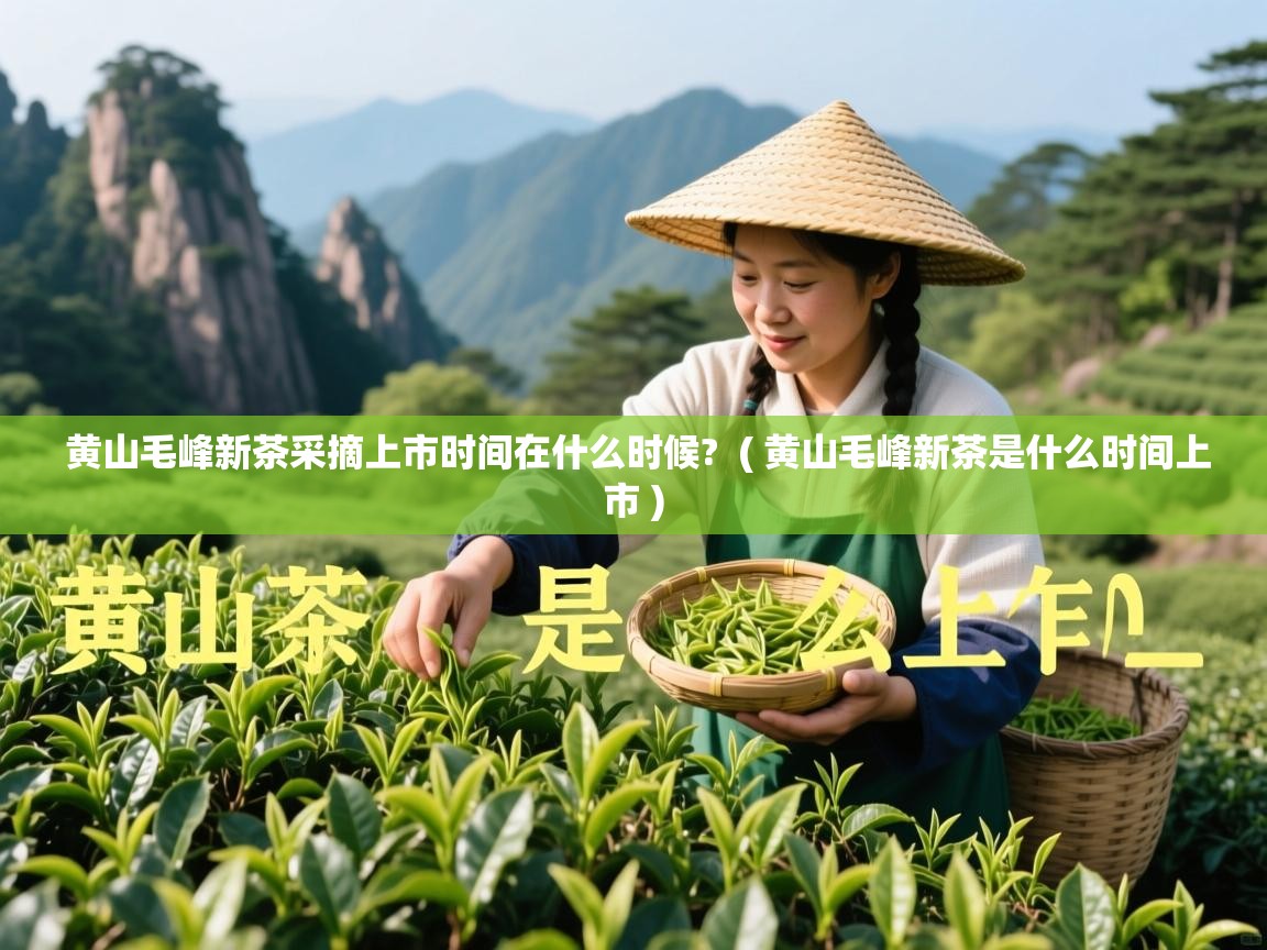  黄山毛峰新茶采摘上市时间在什么时候?  ( 黄山毛峰新茶是什么时间上市 )
