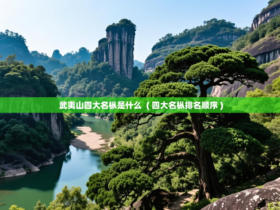  武夷山四大名枞是什么  ( 四大名枞排名顺序 )