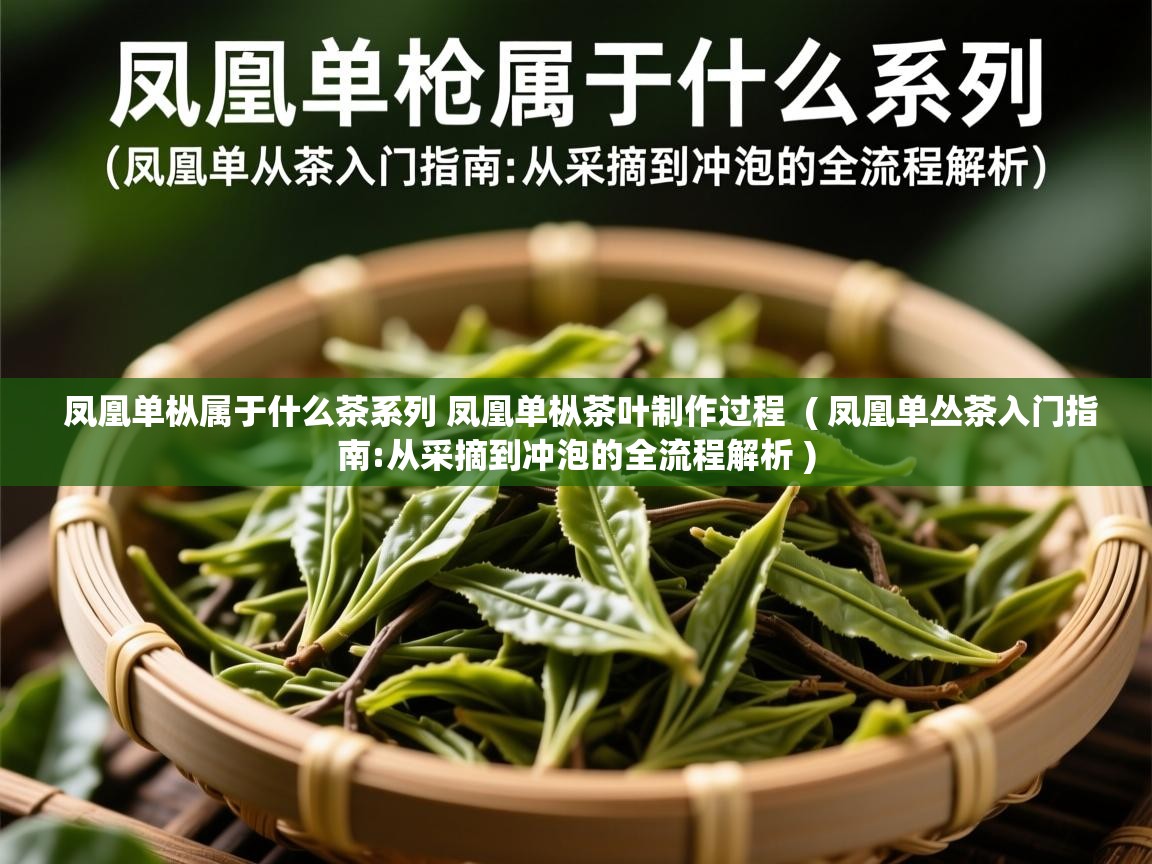  凤凰单枞属于什么茶系列 凤凰单枞茶叶制作过程  ( 凤凰单丛茶入门指南:从采摘到冲泡的全流程解析 )