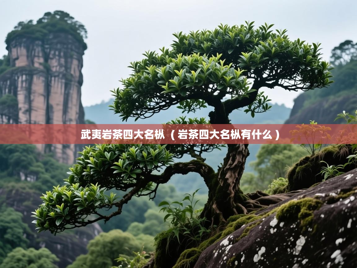 武夷岩茶四大名枞 ( 岩茶四大名枞有什么 ) 武夷岩茶四大名枞 ( 岩茶四大名枞有什么 )