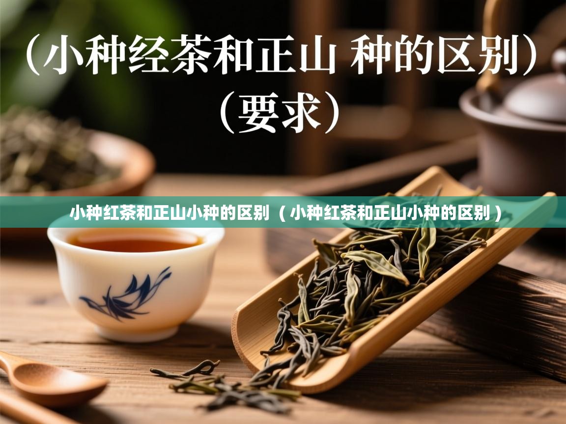  小种红茶和正山小种的区别  ( 小种红茶和正山小种的区别 )
