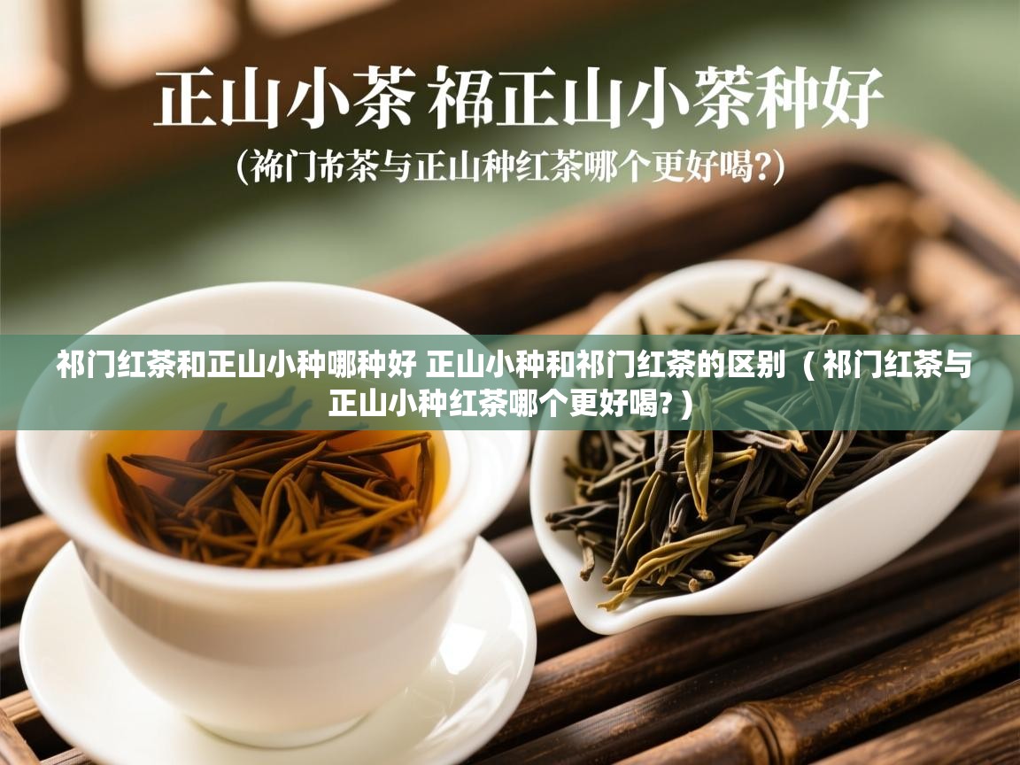 祁门红茶和正山小种哪种好 正山小种和祁门红茶的区别 ( 祁门红茶与正山小种红茶哪个更好喝? ) 祁门红茶和正山小种哪种好 正山小种和祁门红茶的区别 ( 祁门红茶与正山小种红茶哪个更好喝? )