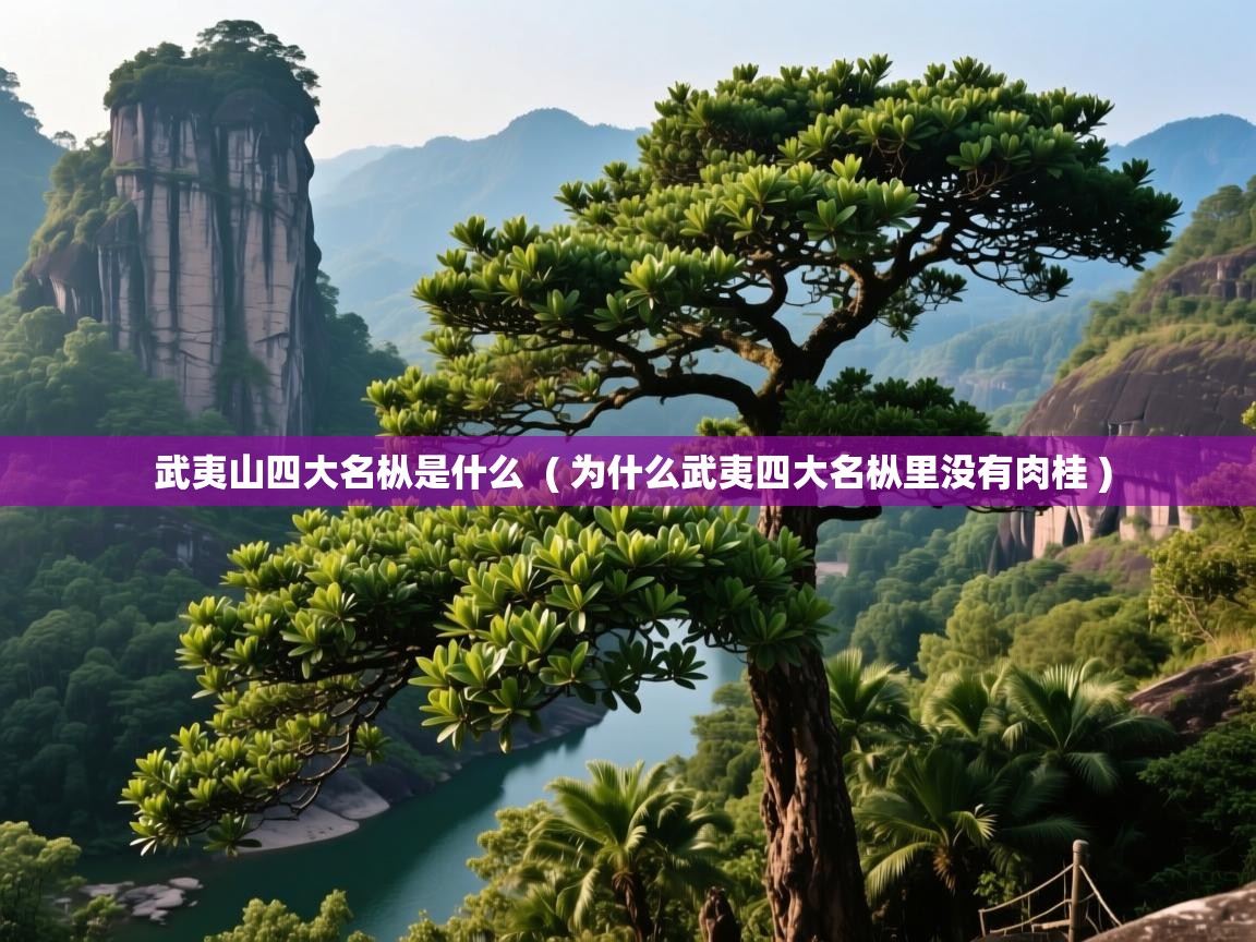  武夷山四大名枞是什么  ( 为什么武夷四大名枞里没有肉桂 )