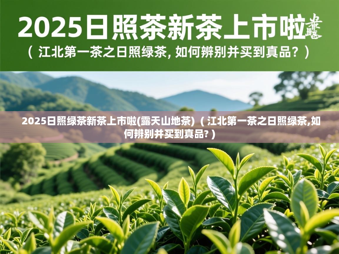  2025日照绿茶新茶上市啦(露天山地茶)  ( 江北第一茶之日照绿茶,如何辨别并买到真品? )