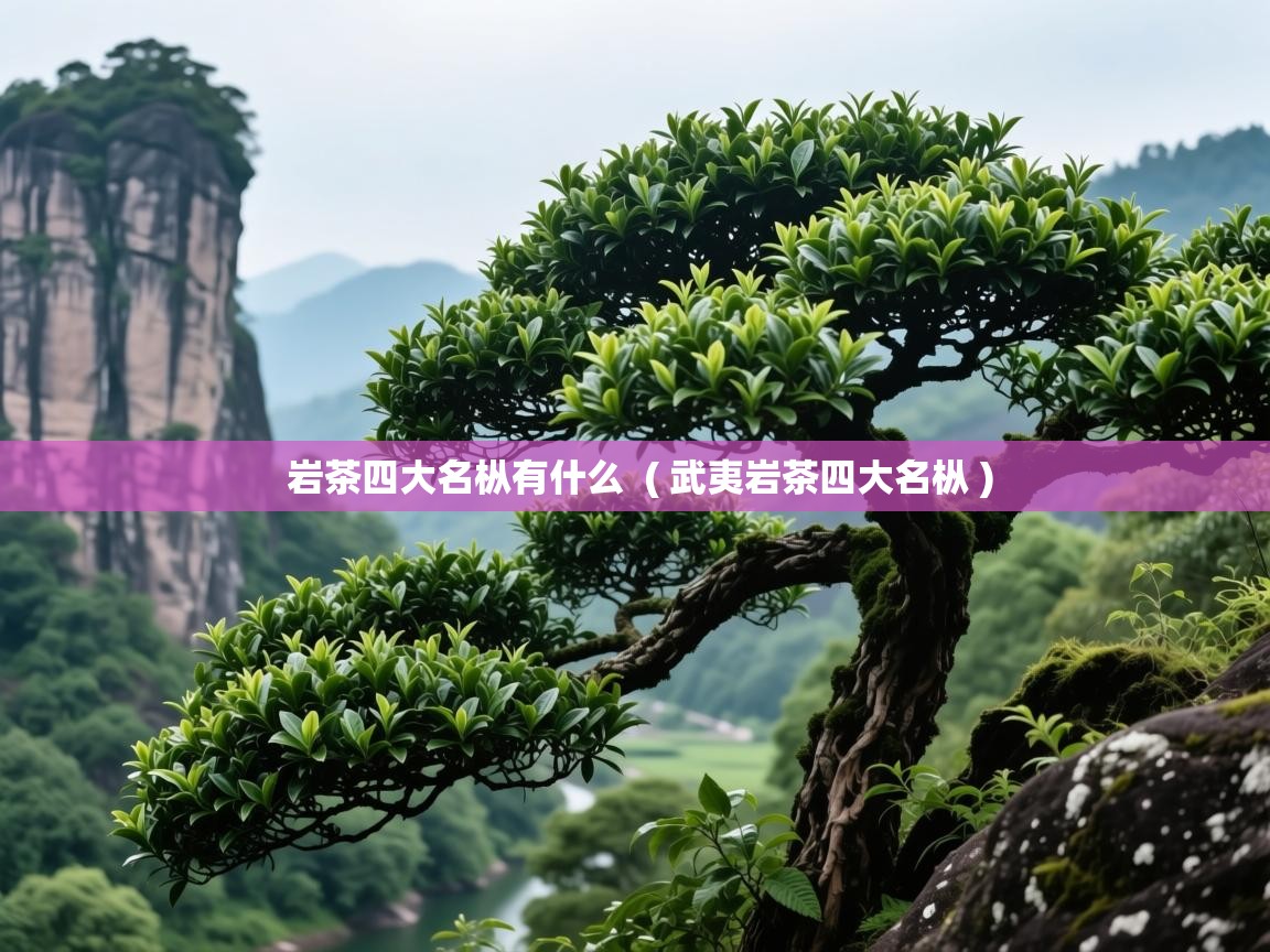  岩茶四大名枞有什么  ( 武夷岩茶四大名枞 )