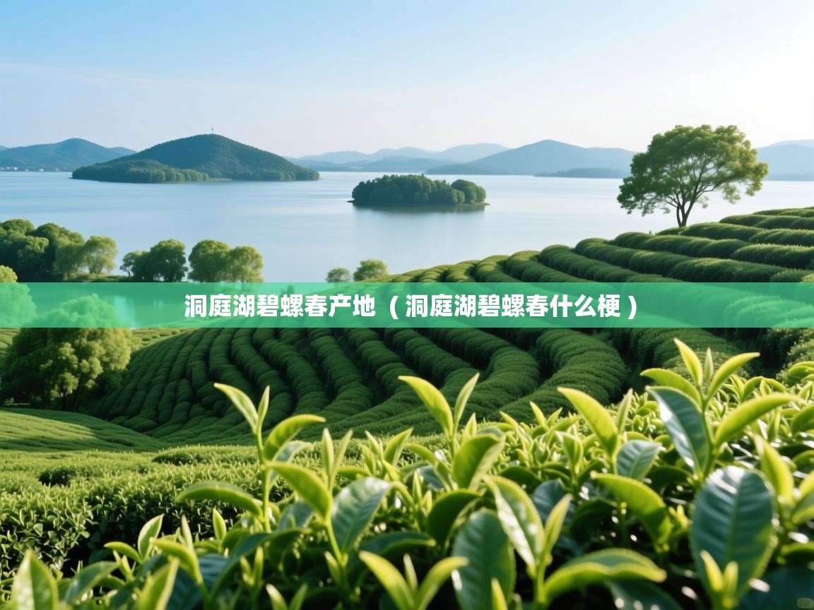 洞庭湖碧螺春产地  ( 洞庭湖碧螺春什么梗 )
