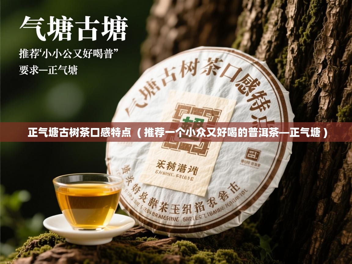  正气塘古树茶口感特点  ( 推荐一个小众又好喝的普洱茶—正气塘 )