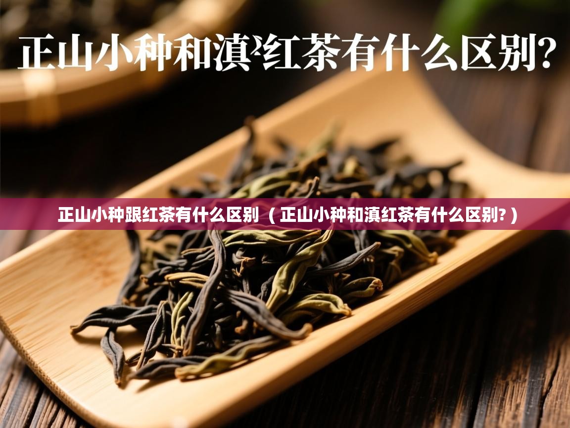  正山小种跟红茶有什么区别  ( 正山小种和滇红茶有什么区别? )