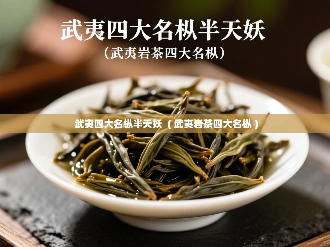  武夷四大名枞半天妖  ( 武夷岩茶四大名枞 )