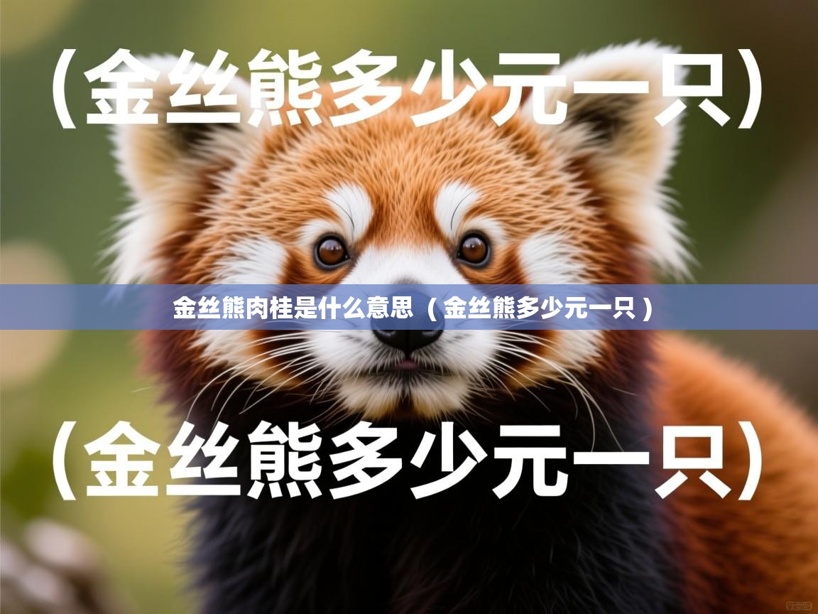  金丝熊肉桂是什么意思  ( 金丝熊多少元一只 )