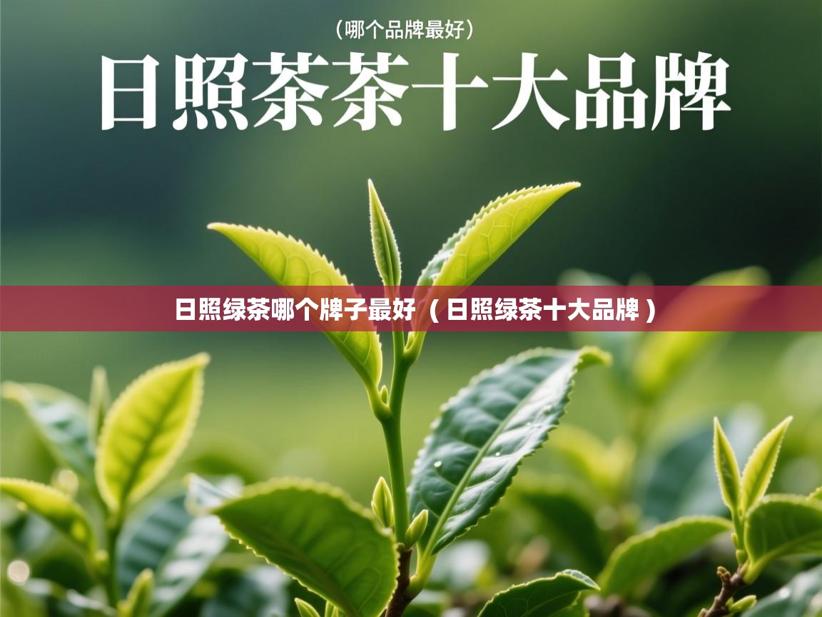  日照绿茶哪个牌子最好  ( 日照绿茶十大品牌 )