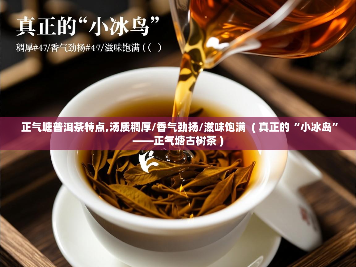  正气塘普洱茶特点,汤质稠厚/香气劲扬/滋味饱满  ( 真正的“小冰岛”——正气塘古树茶 )