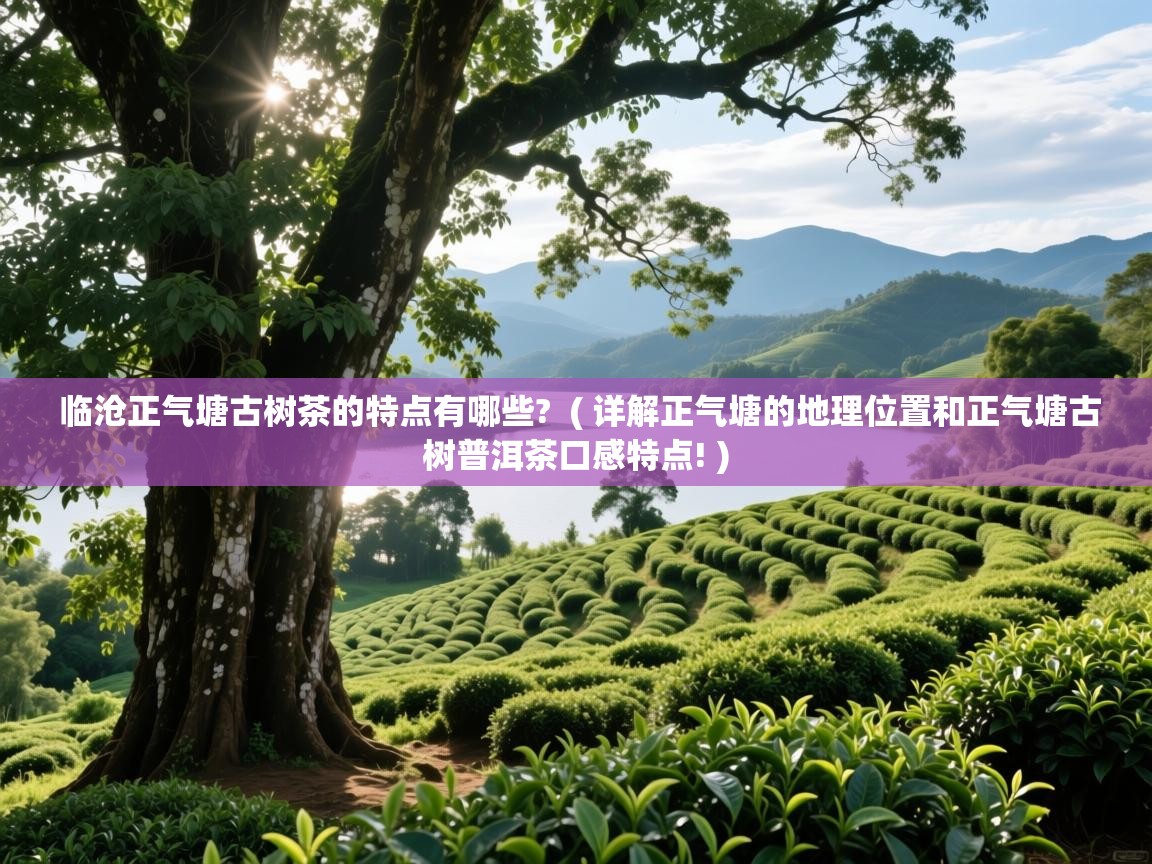  临沧正气塘古树茶的特点有哪些?  ( 详解正气塘的地理位置和正气塘古树普洱茶口感特点! )