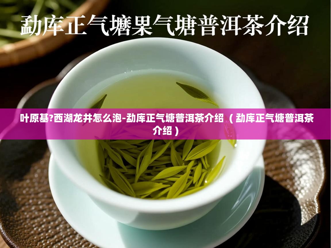  叶原基?西湖龙井怎么泡-勐库正气塘普洱茶介绍  ( 勐库正气塘普洱茶介绍 )