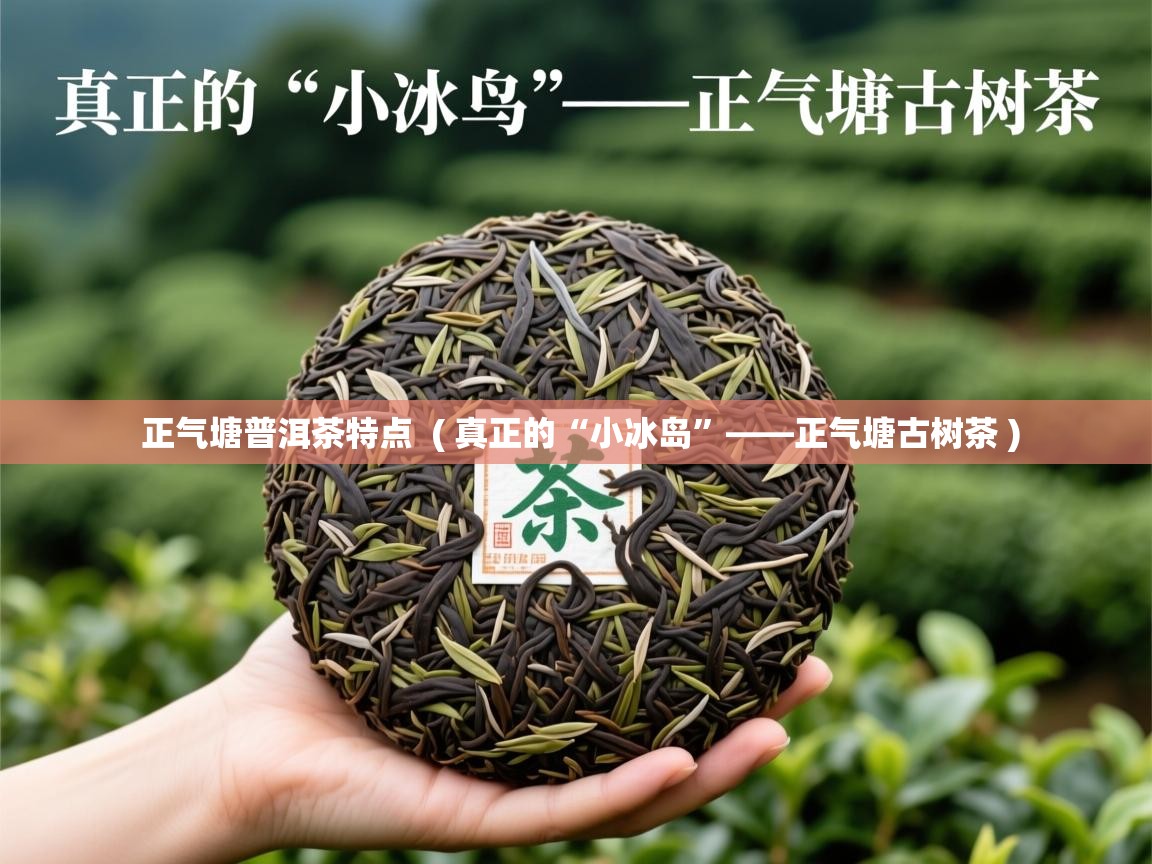  正气塘普洱茶特点  ( 真正的“小冰岛”——正气塘古树茶 )