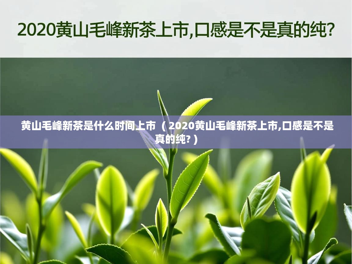 黄山毛峰新茶是什么时间上市 ( 2020黄山毛峰新茶上市,口感是不是真的纯? ) 黄山毛峰新茶是什么时间上市 ( 2020黄山毛峰新茶上市,口感是不是真的纯? )