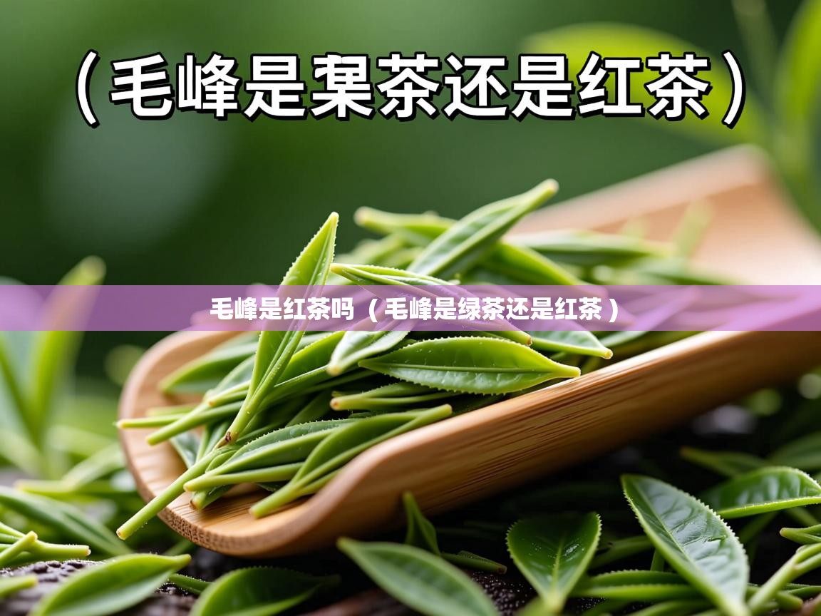 毛峰是红茶吗 ( 毛峰是绿茶还是红茶 ) 毛峰是红茶吗 ( 毛峰是绿茶还是红茶 )