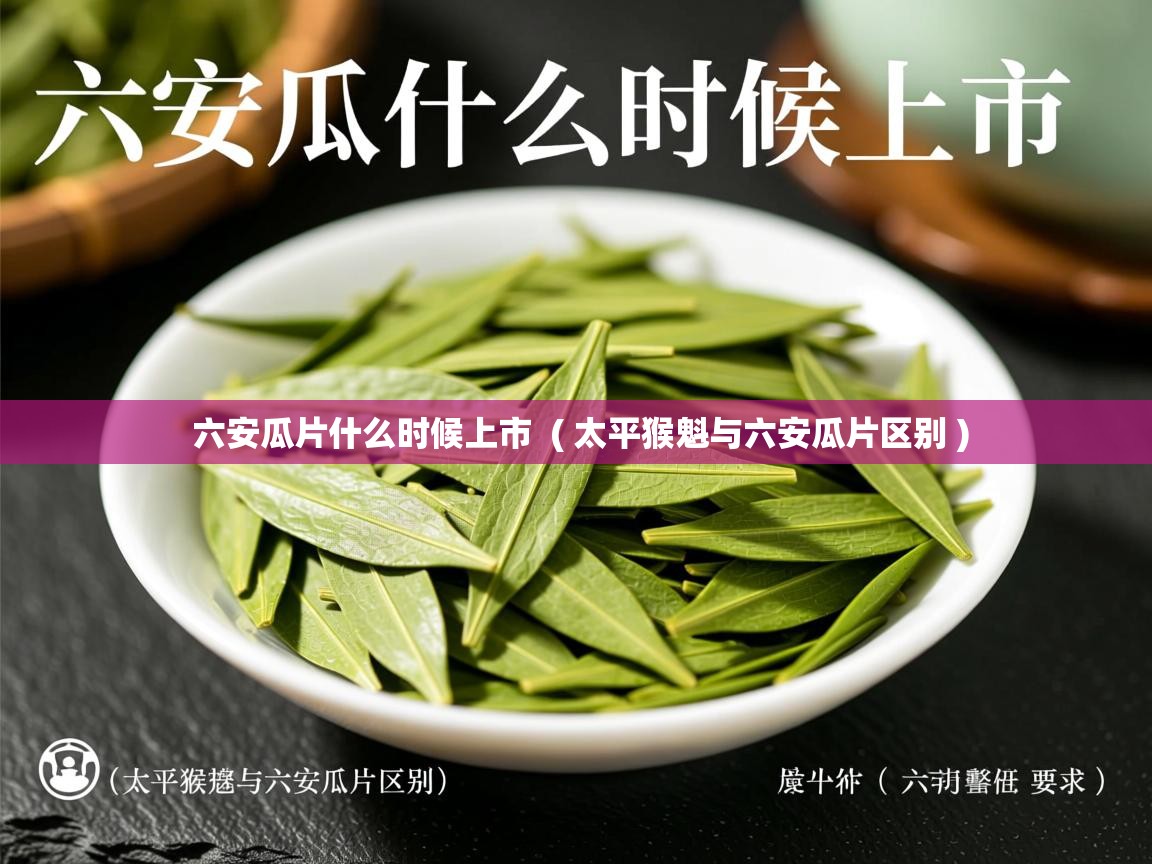 六安瓜片什么时候上市  ( 太平猴魁与六安瓜片区别 )