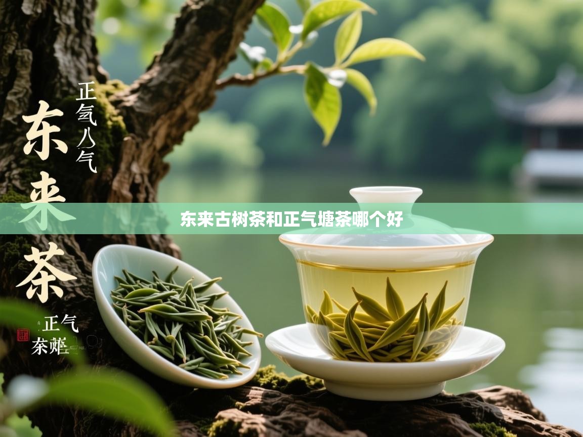 东来古树茶和正气塘茶哪个好 