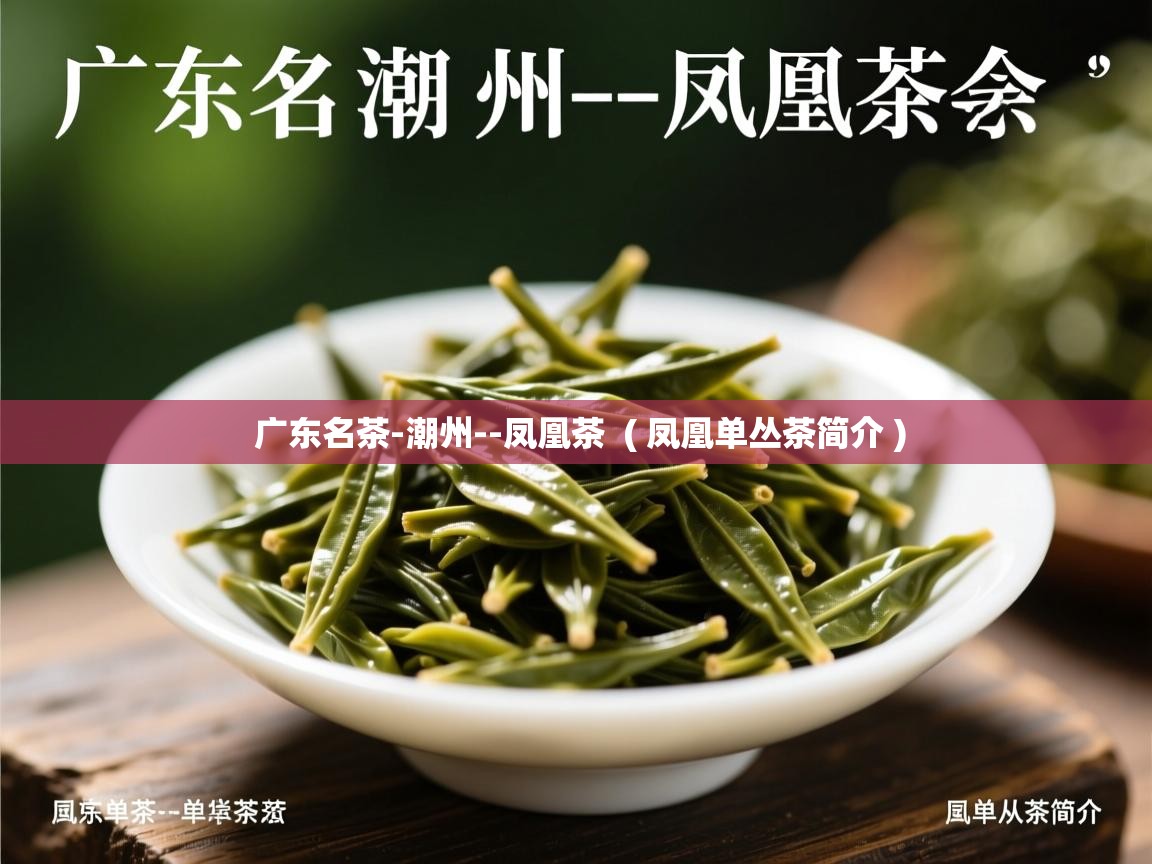  广东名茶-潮州--凤凰茶  ( 凤凰单丛茶简介 )