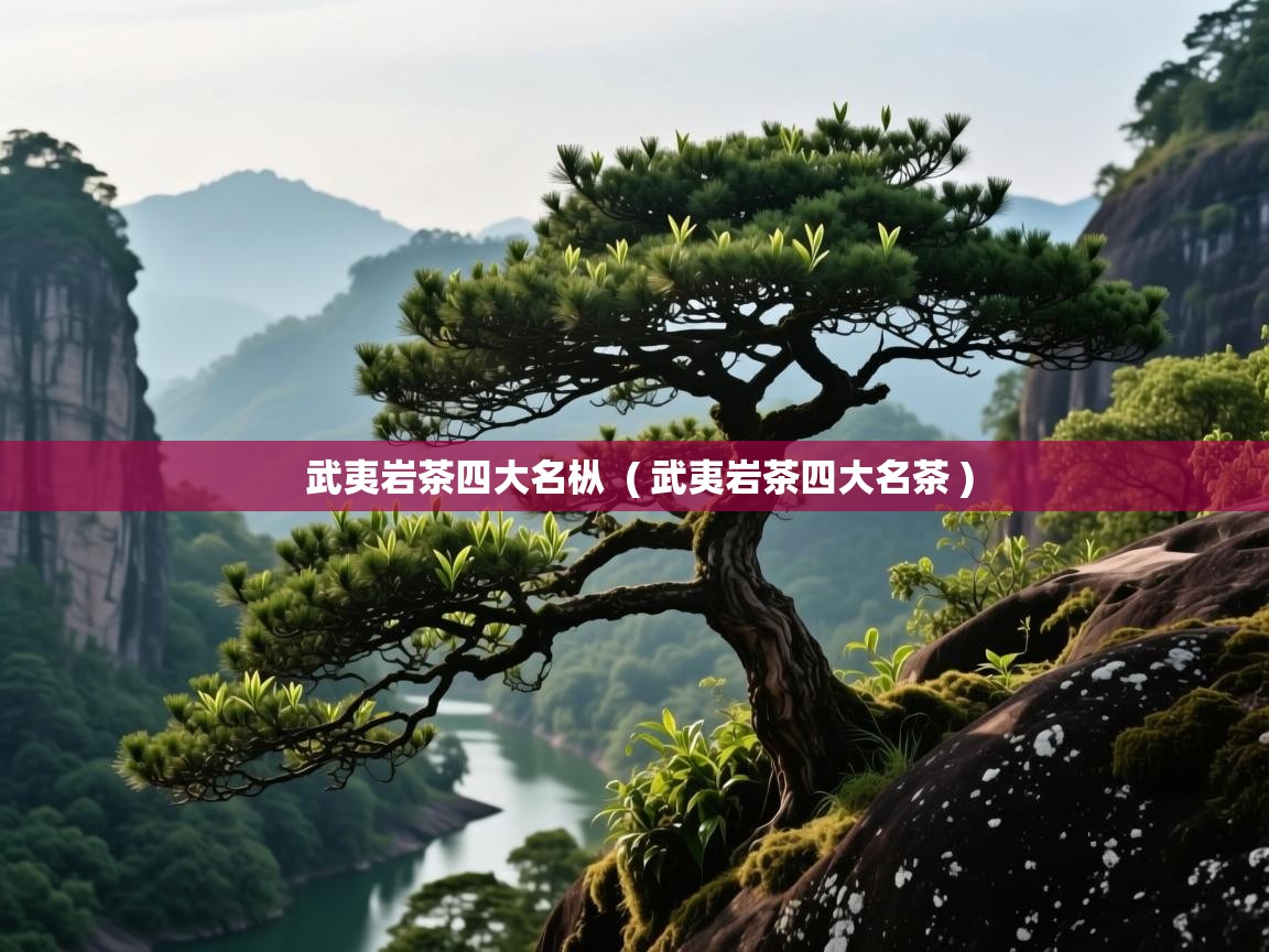 武夷岩茶四大名枞 ( 武夷岩茶四大名茶 ) 武夷岩茶四大名枞 ( 武夷岩茶四大名茶 )